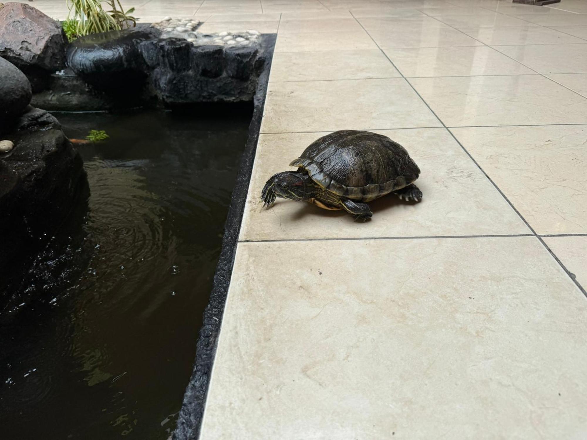 צ'ירבון Hotel Priangan מראה חיצוני תמונה